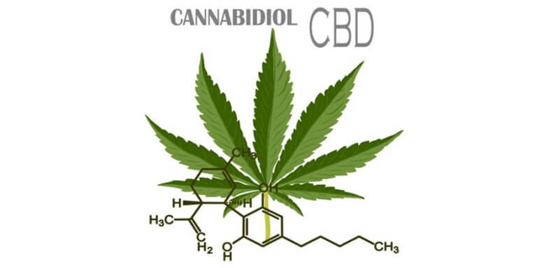 cannabidiol_870x435