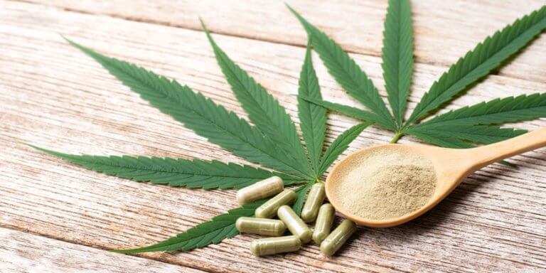 plant-protein2_870x435